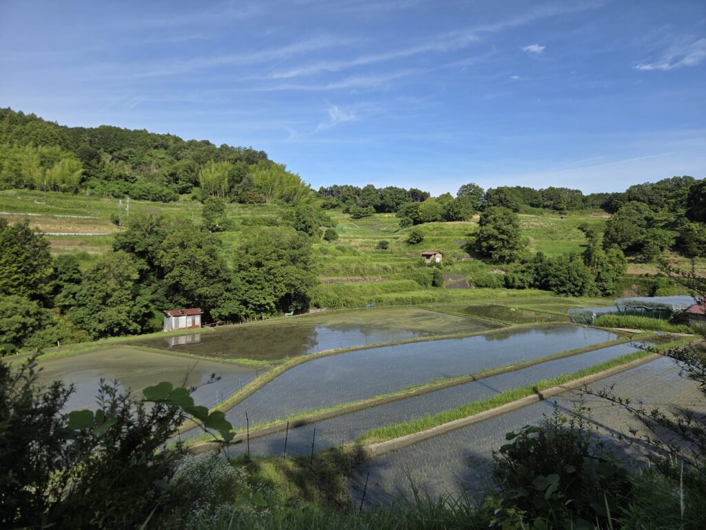 奈良県明日香村の稲渕棚田に広がる水田風景